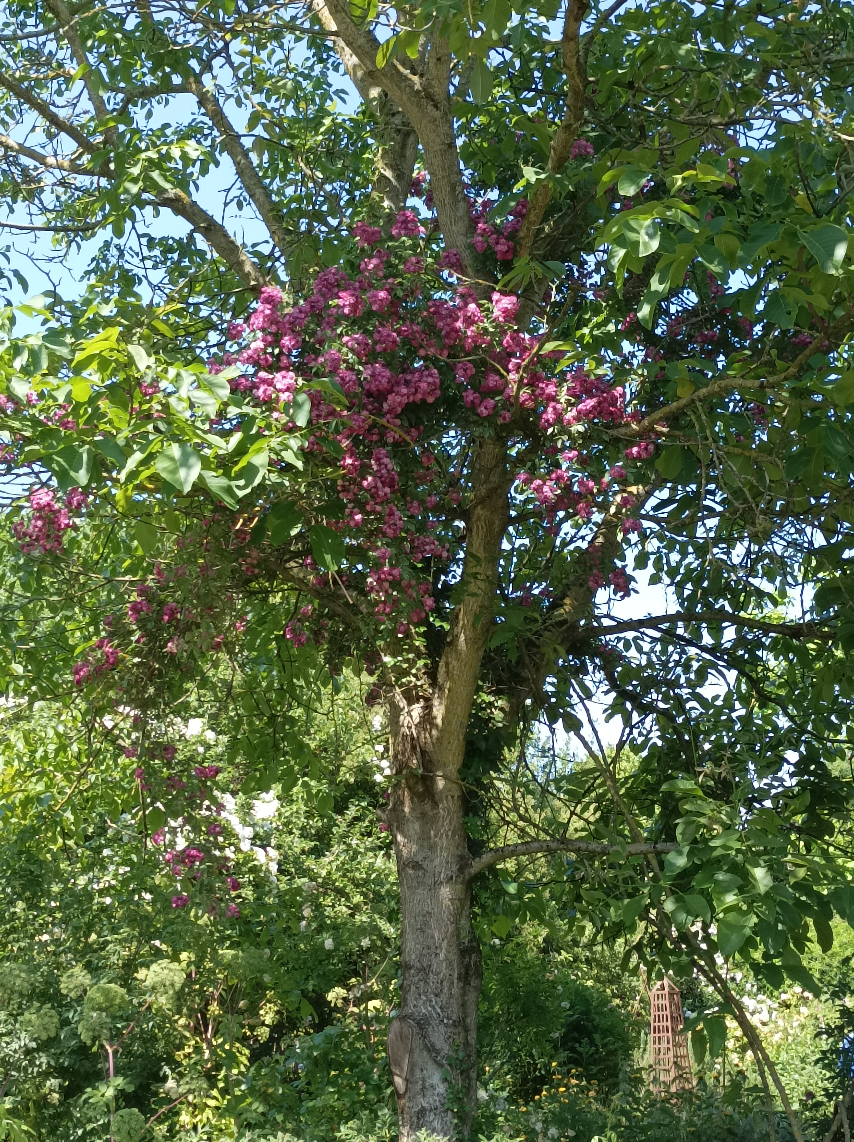 Photo n° 1 de l'avis de Mélanie.i fait le 10/06/2023 à 13:15