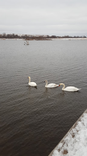 Nature Preserve «Hidden Oaks Conservation Area», reviews and photos, 419 Trout Farm Rd, Bolingbrook, IL 60440, USA