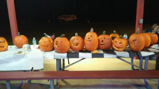 Tourist Attraction «Heflin Park», reviews and photos, 4323 W 700 N, Edinburgh, IN 46124, USA