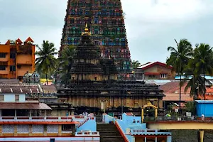 Sri Sharadamba Temple girinagar image