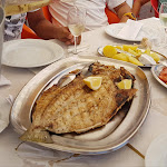 Photo n°2 de l'avis de Novimagem.e fait le 27/07/2018 à 15:37 sur le  Restaurante O Rui à Faro