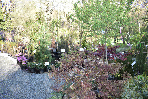 Garden Center «Stonewall Garden Center», reviews and photos, 4675 PA-447, Canadensis, PA 18325, USA