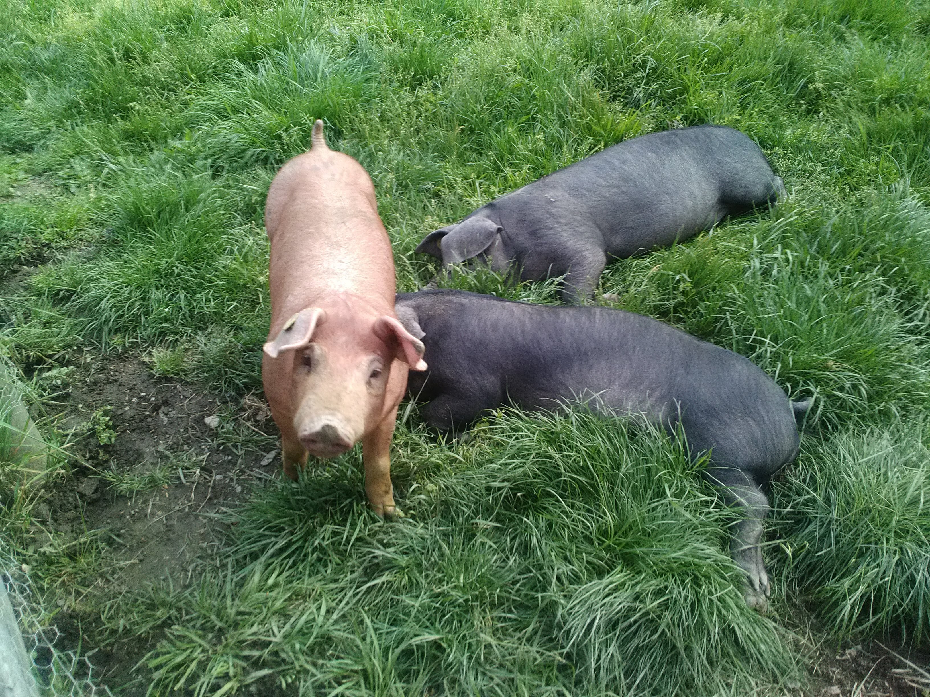 Photo n° 1 de l'avis de Nadia.o fait le 18/04/2019 à 15:35