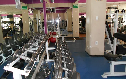Manicomio Gym image