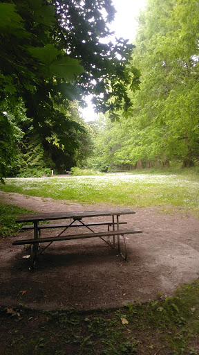 Non-Profit Organization «Audubon Society of Portland», reviews and photos, 5151 NW Cornell Rd, Portland, OR 97210, USA