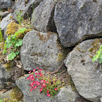 Photo n°12 de l'avis de Maja.e fait le 07/05/2023 à 17:05 sur le  Malberg Hütte à Hausen