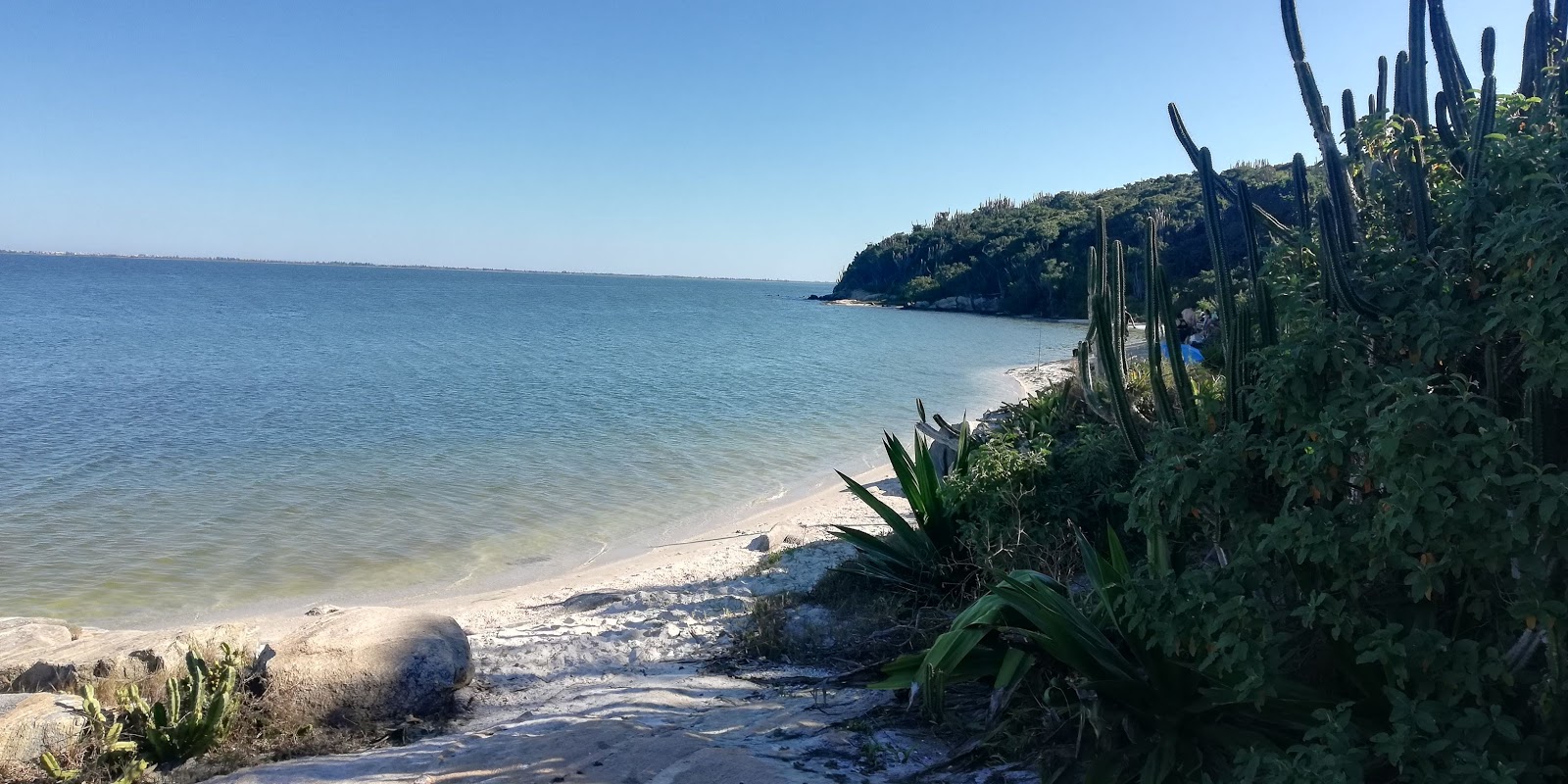 Foto di Praia Ancora da Baleia con molto pulita livello di pulizia