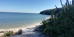 Foto di Praia Ancora da Baleia con molto pulita livello di pulizia