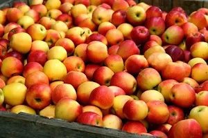 Aamodt's Apple Farm image