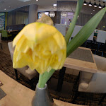 Photo n°3 de l'avis de Carlos.. fait le 03/04/2018 à 14:46 sur le  Lindner Hotel Cologne City Plaza - JDV by Hyatt à Cologne