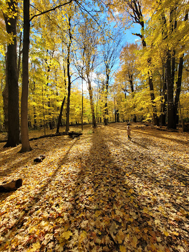 Nature Preserve «Reinstein Woods Nature Preserve», reviews and photos, 93 Honorine Dr, Depew, NY 14043, USA