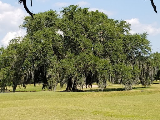 Golf Course «Audubon Park Golf Course», reviews and photos, 6500 Magazine St, New Orleans, LA 70118, USA