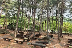 Yumyeongsan Nature Recreation Forest image