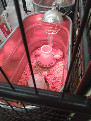 Home Improvement Store «Tractor Supply Co.», reviews and photos, 90 Marketplace Dr, Newnan, GA 30265, USA