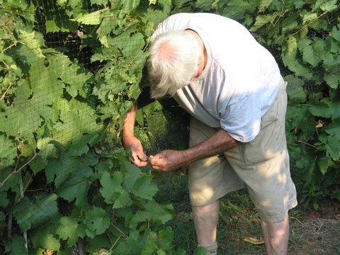 Wine Store «Grayhaven Winery», reviews and photos, 4675 E Gray Fox Cir, Mineral, VA 23117, USA