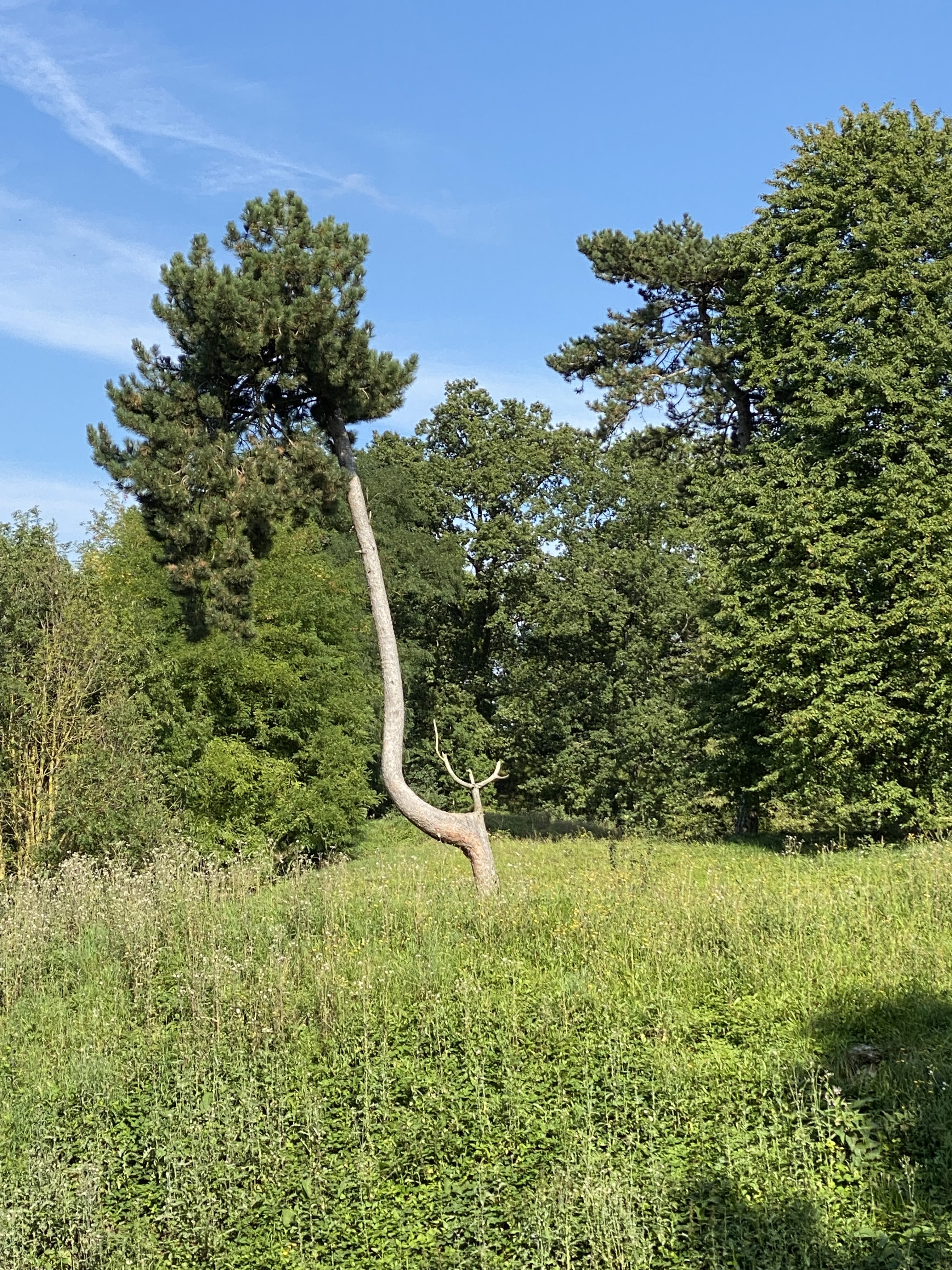 Photo n° 16 de l'avis de Philippe.a fait le 20/09/2021 à 07:15