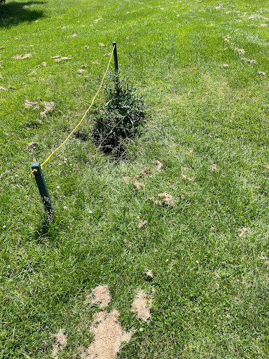 Golf Course «Brighton Park Golf Course», reviews and photos, 70 Brompton Rd, Tonawanda, NY 14150, USA