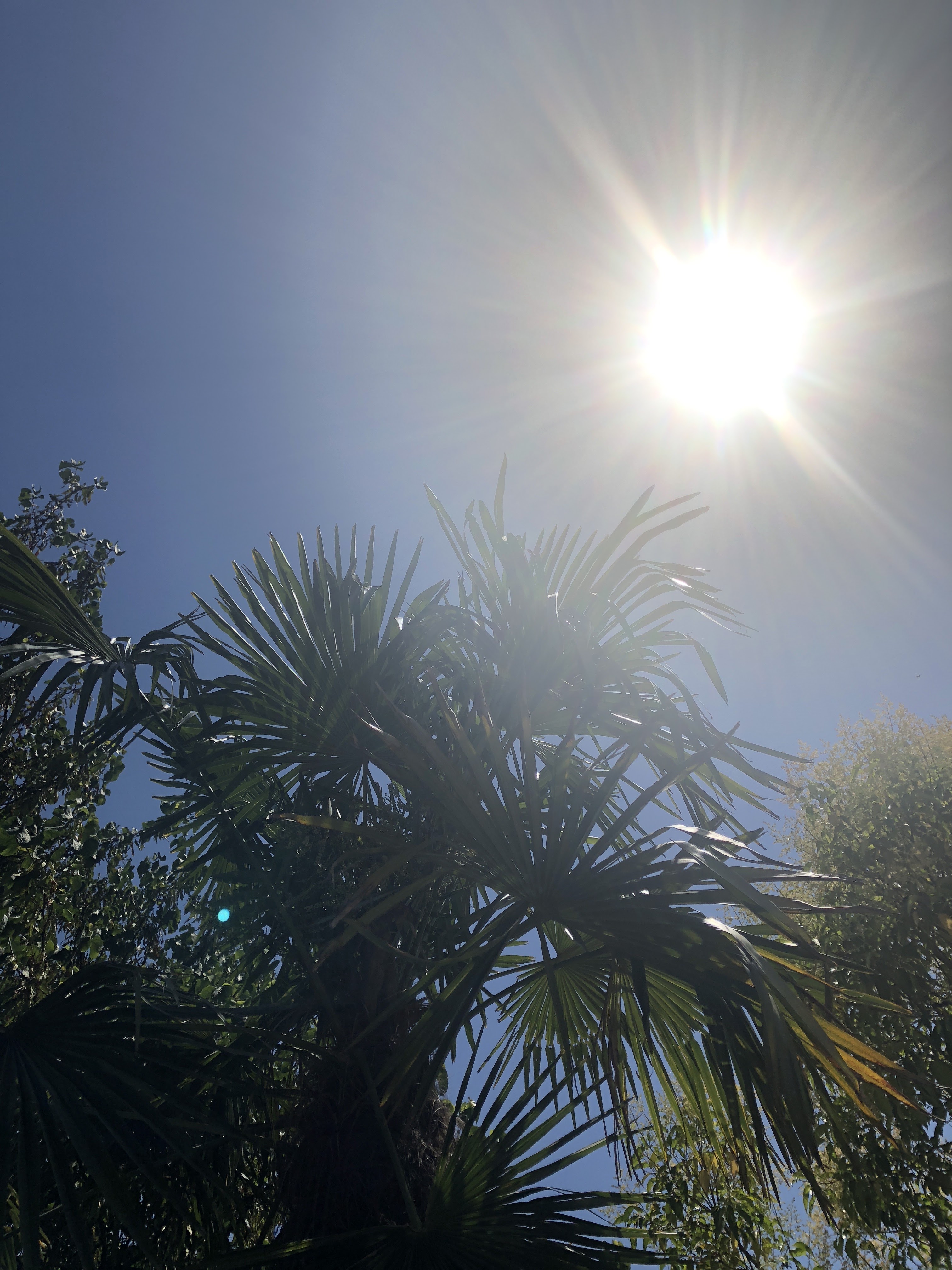 Photo n° 3 de l'avis de Alexia.C fait le 02/07/2018 à 18:38