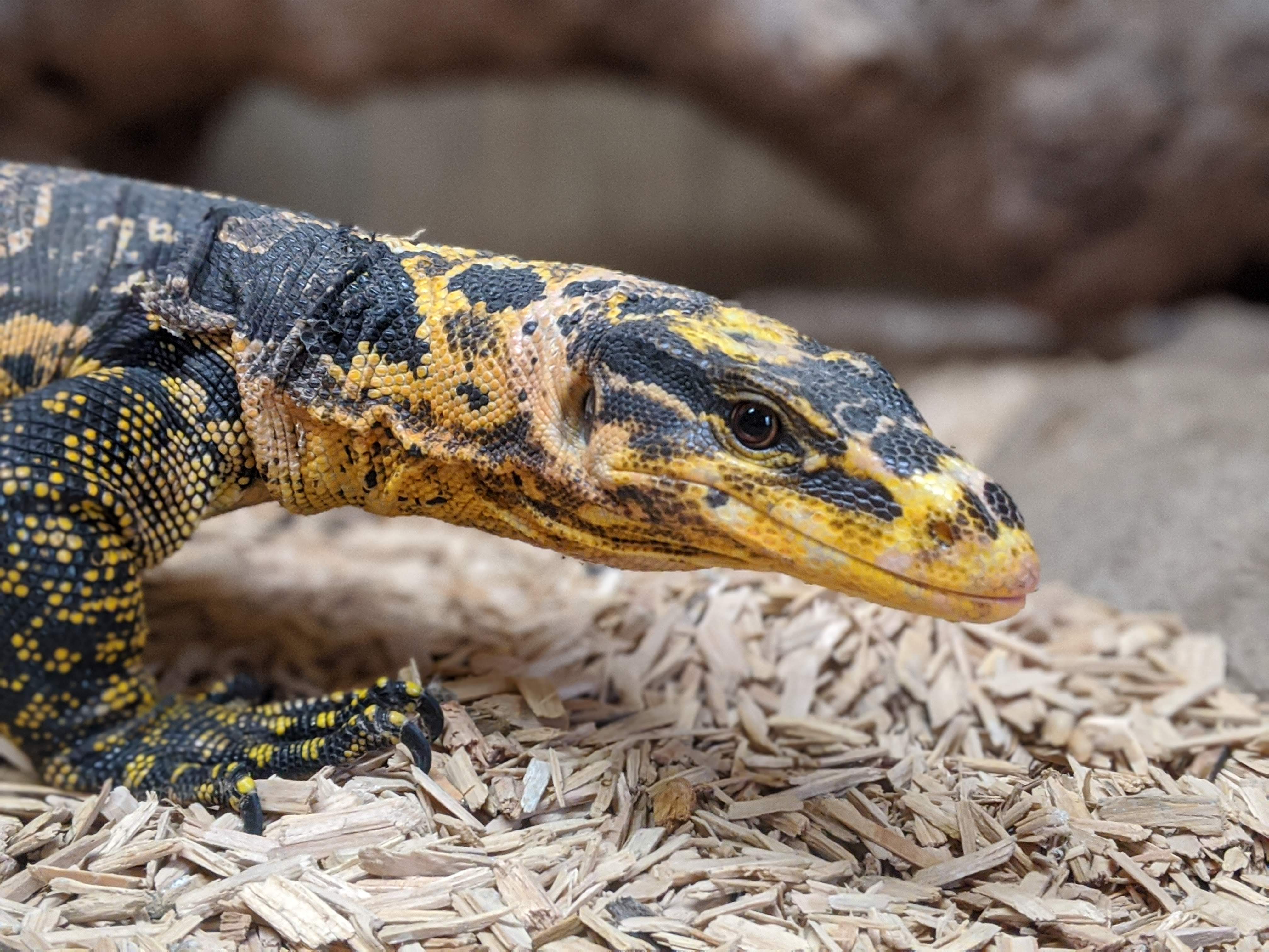 Photo n° 2 de l'avis de Gabin.u fait le 09/12/2013 à 19:36