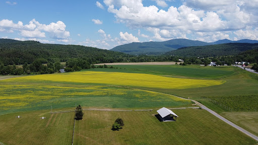 Winery «Boyden Valley Winery & Spirits», reviews and photos, 64 VT-104, Cambridge, VT 05444, USA