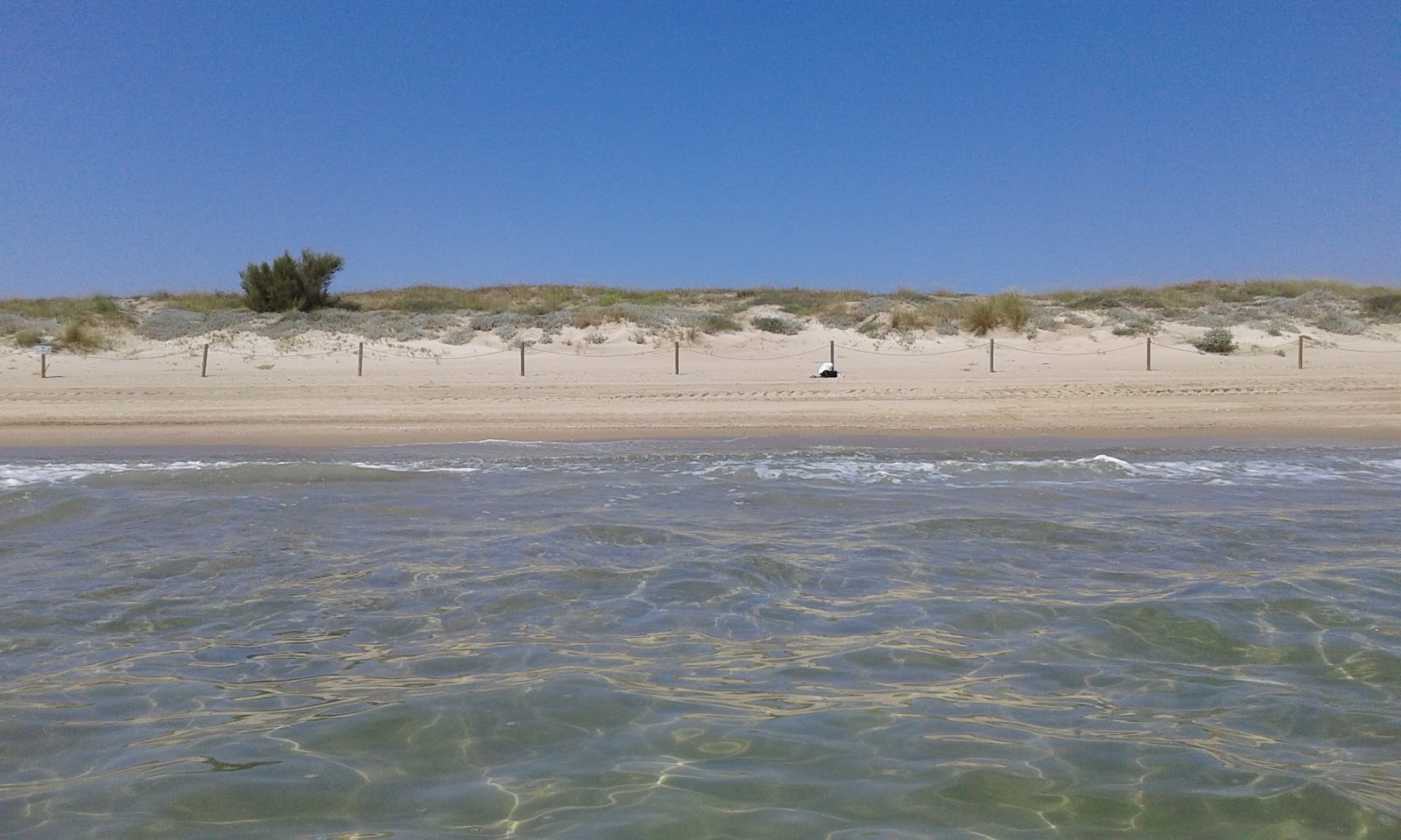 Platja de la Devesa photo #9