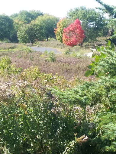 Community Center «Rosemount Community Center», reviews and photos, 13885 S Robert Trail, Rosemount, MN 55068, USA