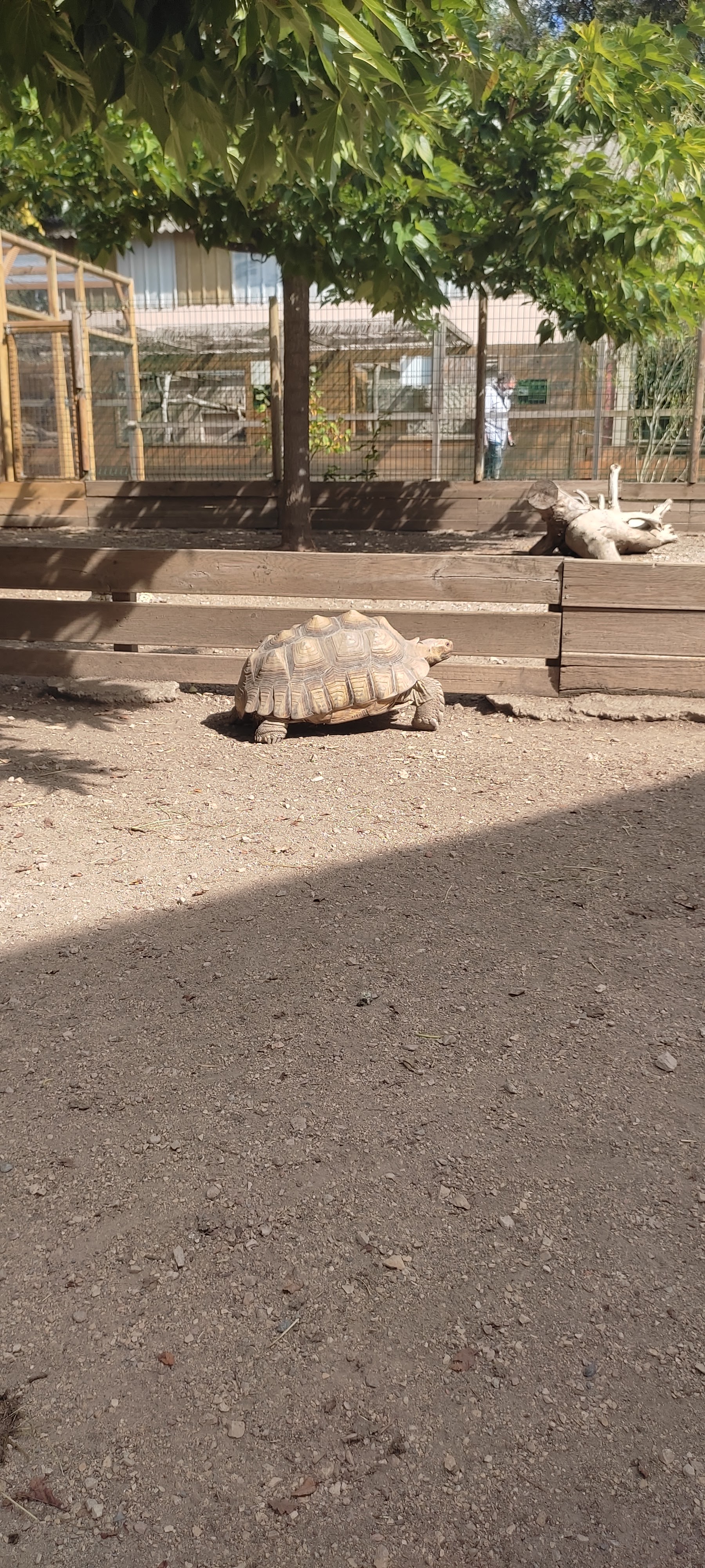 Photo n° 14 de l'avis de Astrid.i fait le 17/09/2021 à 13:14