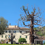 Photo n°2 de l'avis de Davey.r fait le 17/07/2022 à 06:34 sur le  Cortona Resort - Villa Aurea à Cortona