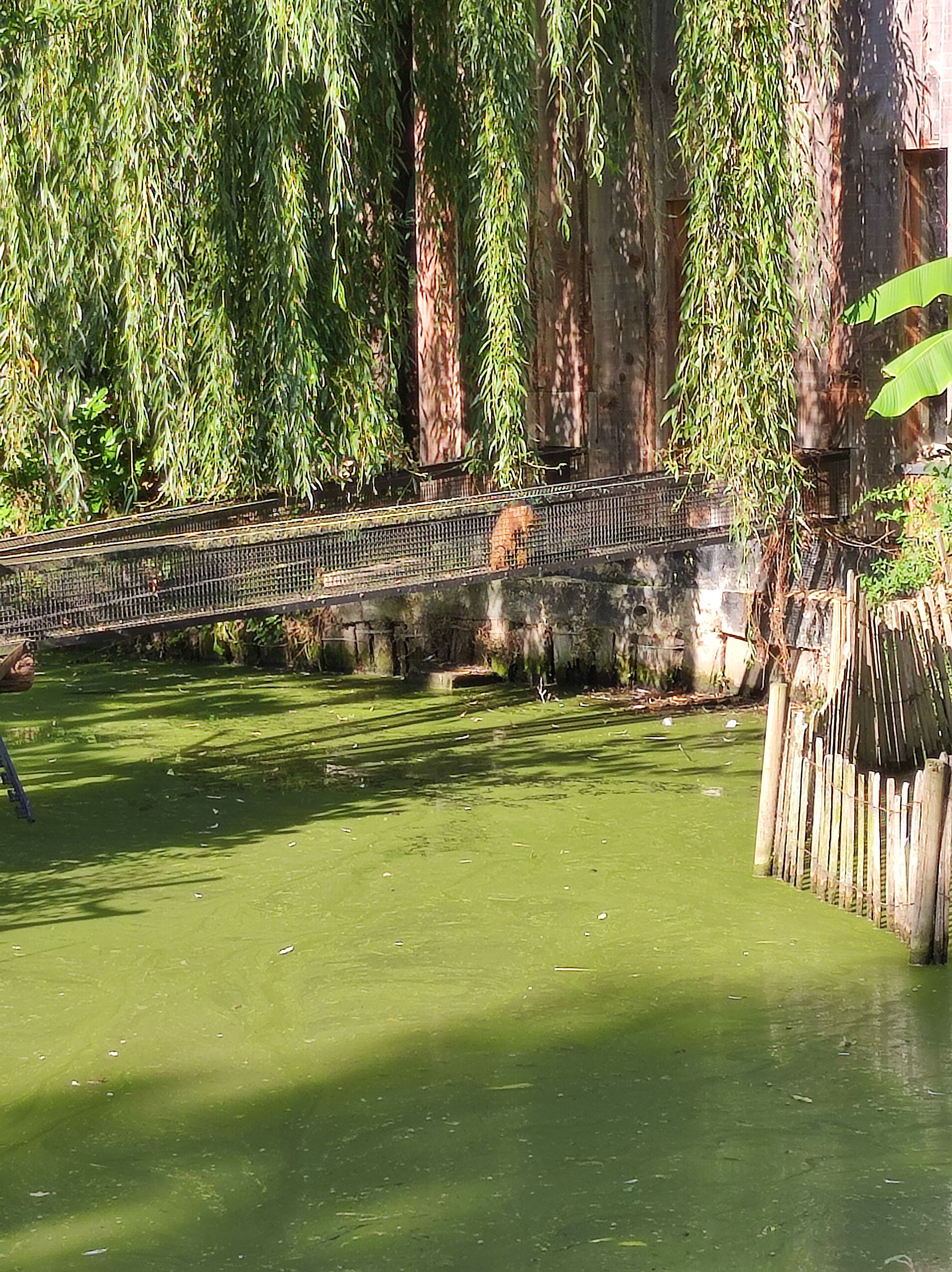 Photo n° 12 de l'avis de Barcelonesa974. fait le 18/01/2024 à 06:36