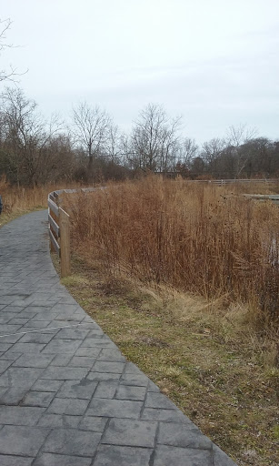 Nature Preserve «Swan River Preserve», reviews and photos, Montauk Hwy, Patchogue, NY 11772, USA