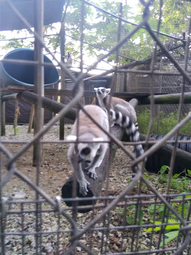 Tourist Attraction «Walton House», reviews and photos, 28501 SW 187th Ave, Homestead, FL 33030, USA