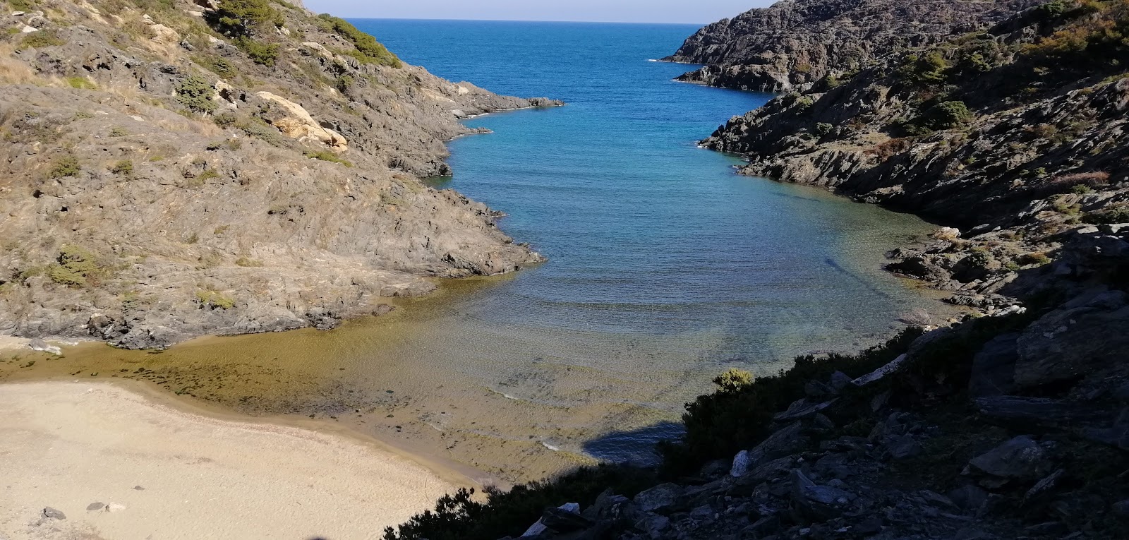 Photo of Platja de Neganta with very clean level of cleanliness
