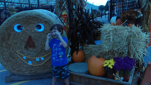 Garden Center «Sixteen Acres Garden Center», reviews and photos, 1359 Wilbraham Rd, Springfield, MA 01119, USA