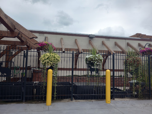 Critter Pet Shop, 19309 Ecorse Rd, Allen Park, MI 48101, USA, 