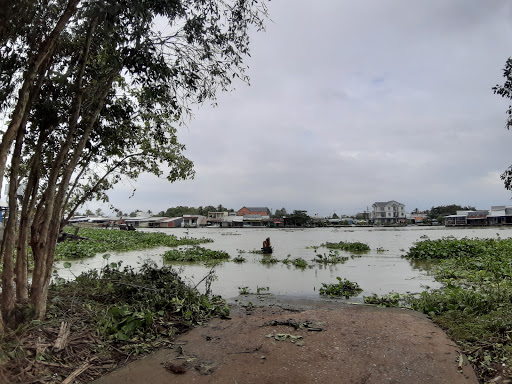 Top 20 cửa hàng gỗ Huyện Vị Thủy Hậu Giang 2022