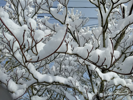 Park «Mt. Scott Park», reviews and photos, SE 72nd Ave & Southeast Harold Street, Portland, OR 97206, USA