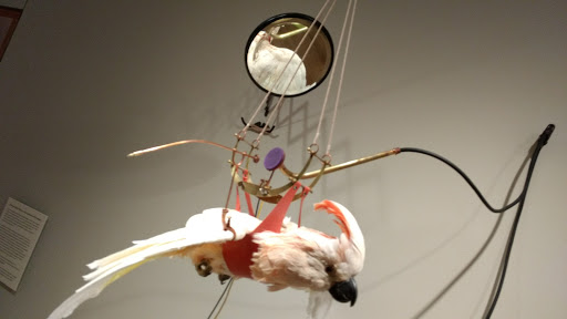 Art Museum «Chazen Museum of Art», reviews and photos, 750 University Ave, Madison, WI 53706, USA