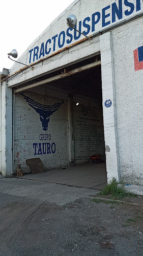 Grupo Tauro Muelles y Tracto Suspensiones
