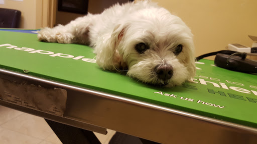 Downey Veterinary Hospital image