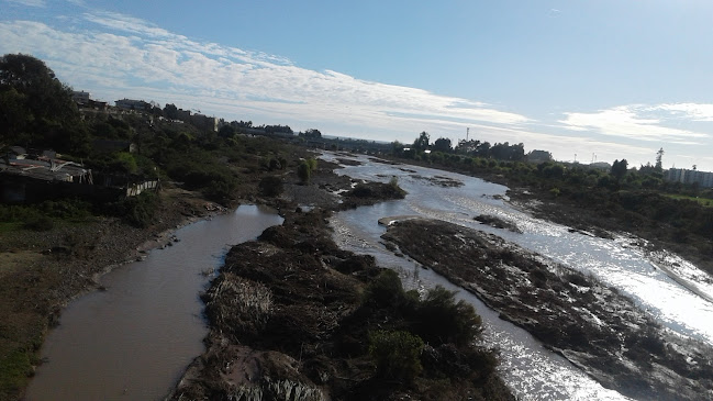 Opiniones de Puente Libertador en La Serena - Centro comercial