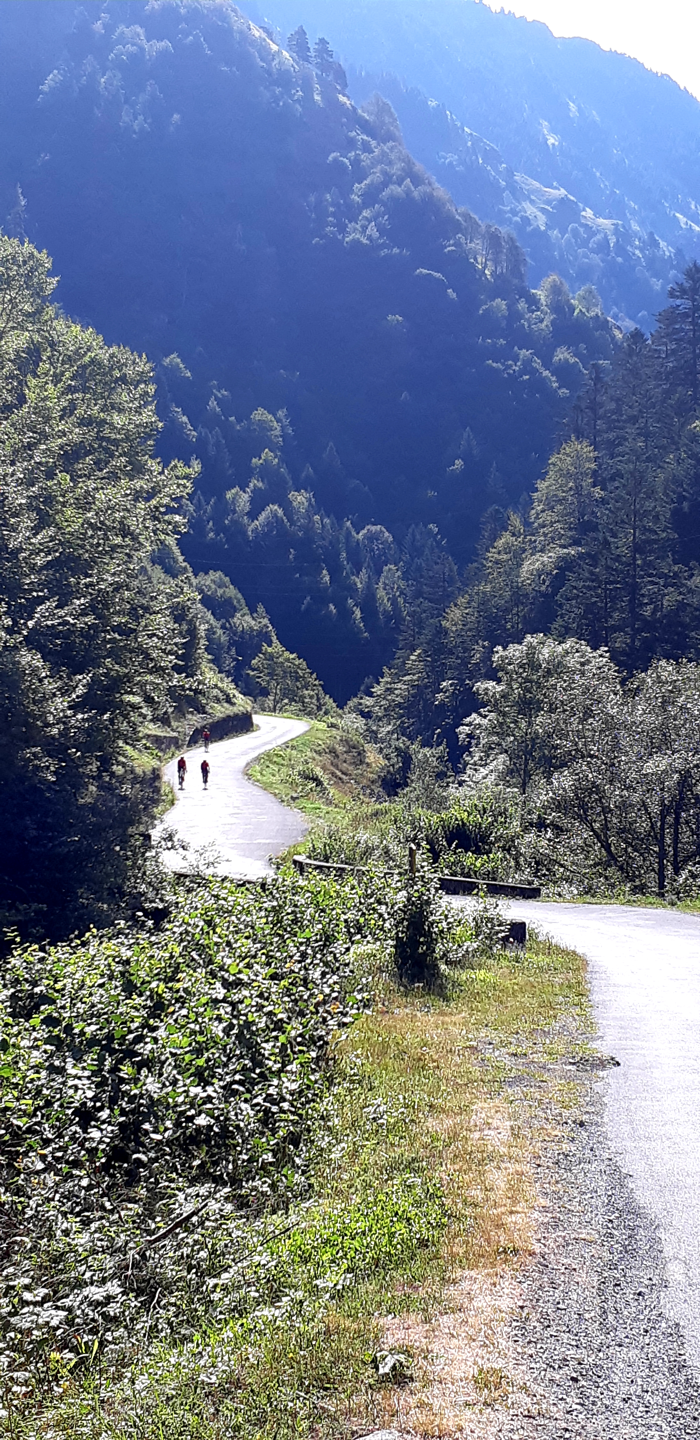 Photo n° 3 de l'avis de Annac. fait le 15/09/2018 à 07:31