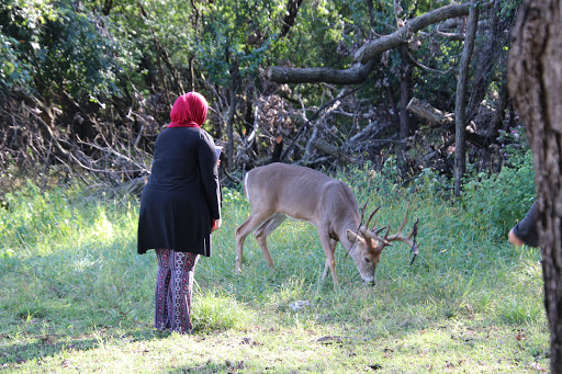 Nature Preserve «Schiller Woods East», reviews and photos, W Irving Park Rd, Chicago, IL 60634, USA
