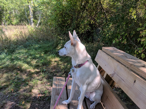 Nature Preserve «Wildlands Trust - Willow Brook Farm Preserve», reviews and photos, 99 Barker St, Pembroke, MA 02359, USA