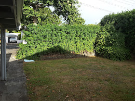 J's Lawn and Hedge (Aucklandlawnmower)