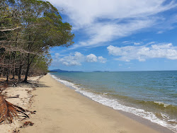 Foto van Newell Beach met recht en lang