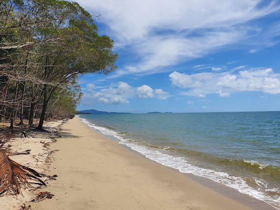 Newell Beach