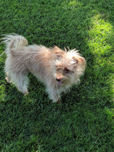 Pet Supply Store «Pet Supplies Plus», reviews and photos, 2840 Countryside Dr, Turlock, CA 95380, USA