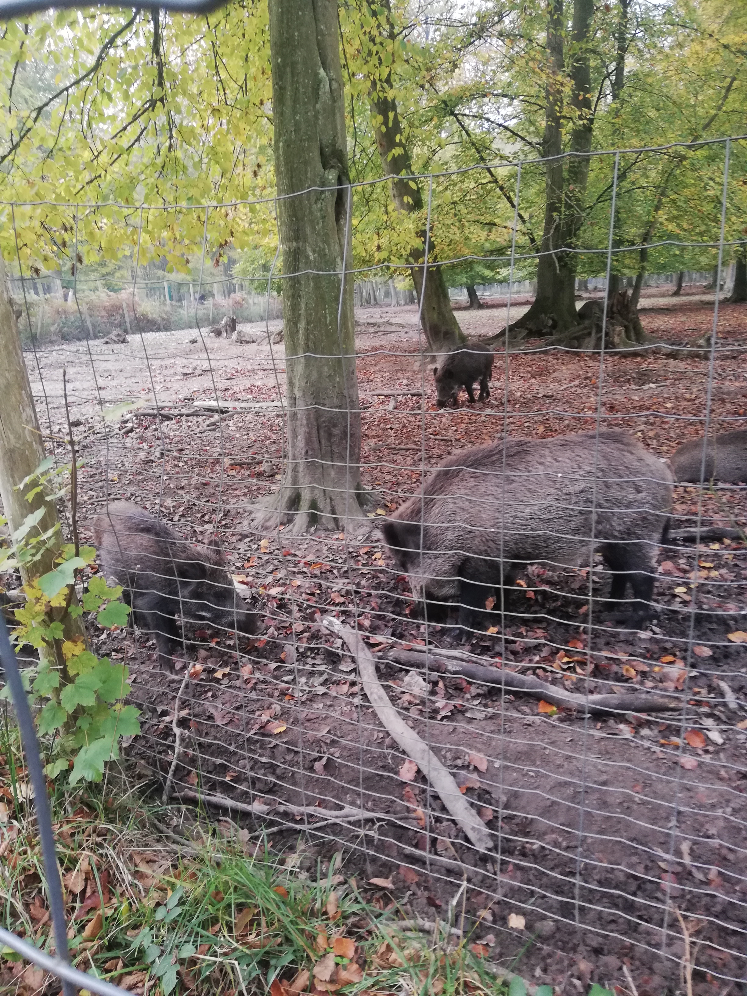 Photo n° 1 de l'avis de Marie.a fait le 09/03/2023 à 17:15