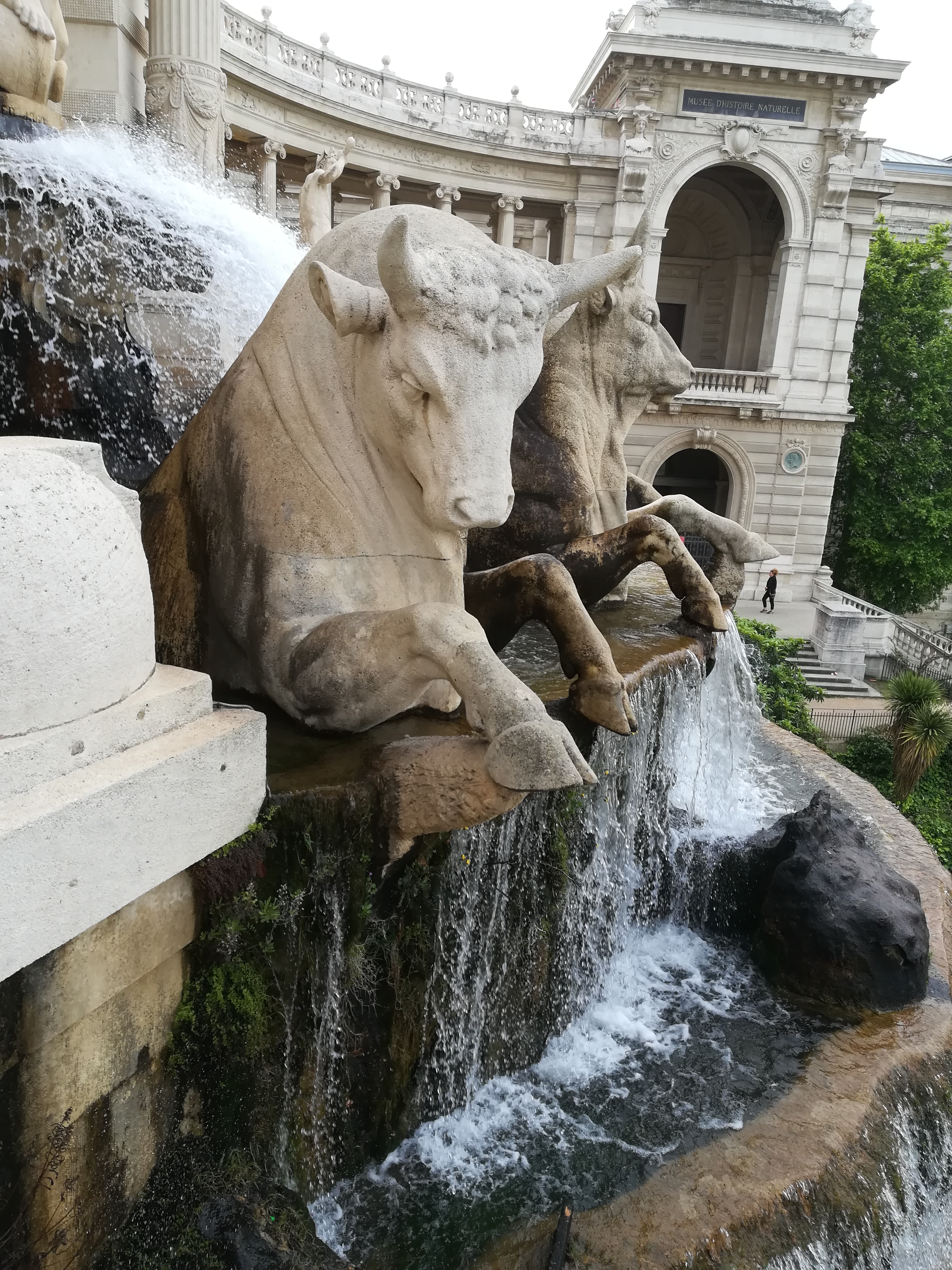 Photo n° 3 de l'avis de Chrystian.R fait le 27/04/2019 à 07:35