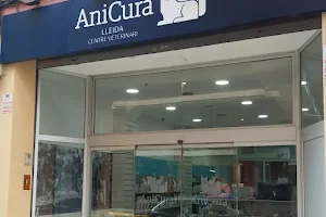 AniCura Lleida Centre Veterinari | Urgències telefòniques 24h image